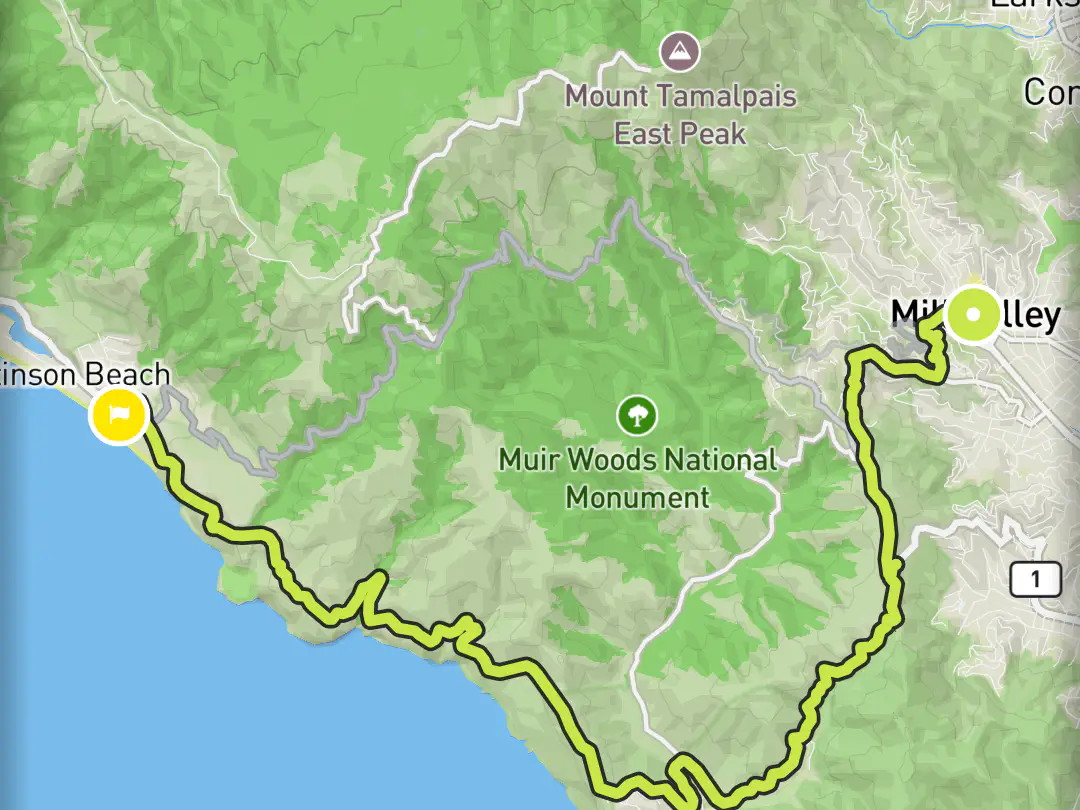 Flow map with a chosen route winding from Mill Valley over Panoramic Highway past Muir Woods to Stinson Beach